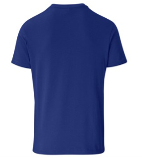 BLUE(CHARCOAL LOGO)